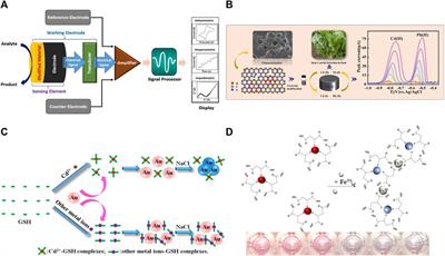 Research progress in the detection of trace heavy metal ions in food samples